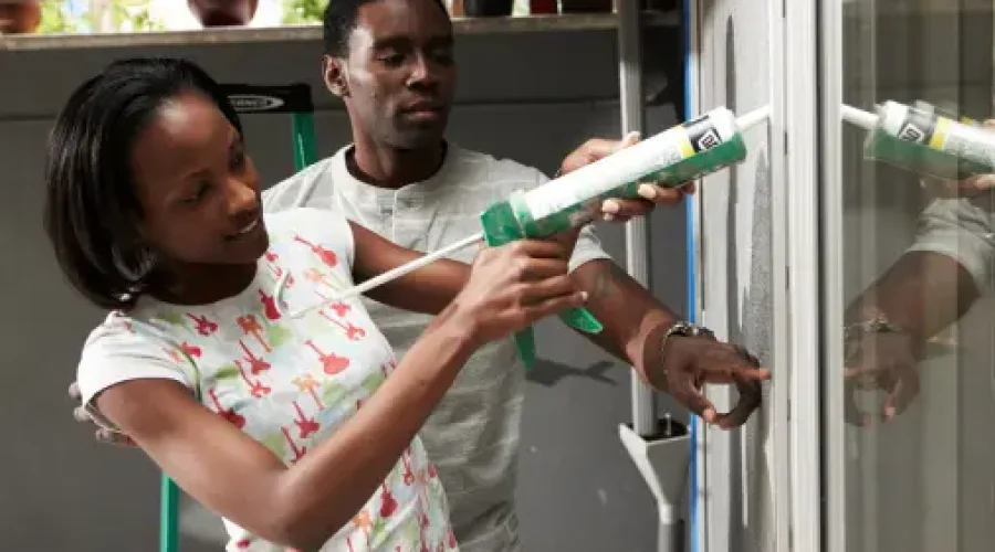DIY Pest Control: When to Do It Yourself and When to Call a Professional