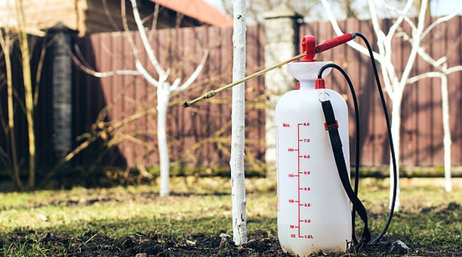 Top 10 Essential Tools for Effective Pest Control